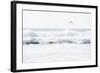 Sea Waves with Flying Seagull-Sarosa-Framed Photographic Print