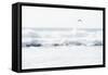 Sea Waves with Flying Seagull-Sarosa-Framed Stretched Canvas