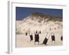 Sea Weed Pods on the Beach at Martha's Vineyard-Alfred Eisenstaedt-Framed Photographic Print