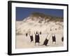 Sea Weed Pods on the Beach at Martha's Vineyard-Alfred Eisenstaedt-Framed Photographic Print