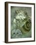 Sea Witch-Wayne Anderson-Framed Giclee Print