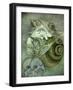 Sea Witch-Wayne Anderson-Framed Giclee Print