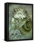 Sea Witch-Wayne Anderson-Framed Stretched Canvas