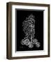 Sea Xray-Albert Koetsier-Framed Art Print