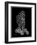 Sea Xray-Albert Koetsier-Framed Art Print