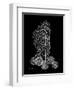 Sea Xray-Albert Koetsier-Framed Art Print