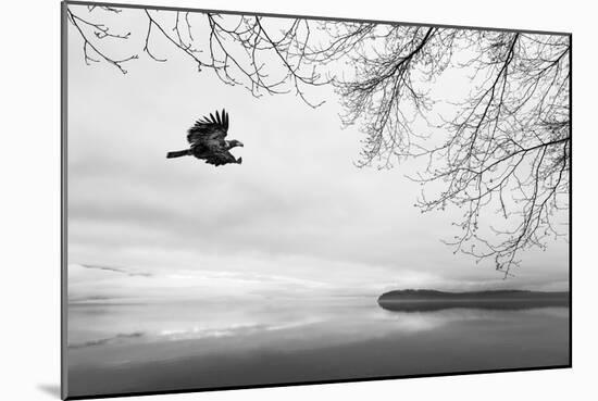 Seabeck Winter I-Kathy Mahan-Mounted Photographic Print