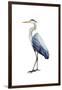 Seabird Heron I-Grace Popp-Framed Art Print