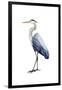 Seabird Heron I-Grace Popp-Framed Art Print