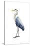 Seabird Heron I-Grace Popp-Stretched Canvas