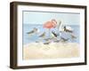 Seabird Summit-Wendy Russell-Framed Art Print