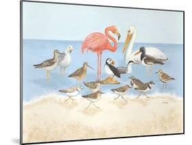 Seabird Summit-Wendy Russell-Mounted Art Print