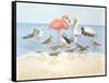 Seabird Summit-Wendy Russell-Framed Stretched Canvas