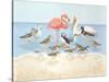 Seabird Summit-Wendy Russell-Stretched Canvas