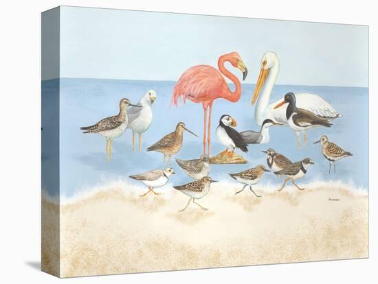 Seabird Summit-Wendy Russell-Stretched Canvas