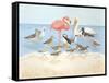 Seabird Summit-Wendy Russell-Framed Stretched Canvas