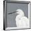 Seabird Thoughts 1-Norman Wyatt Jr^-Framed Premium Giclee Print