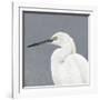 Seabird Thoughts 1-Norman Wyatt Jr^-Framed Giclee Print