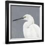 Seabird Thoughts 1-Norman Wyatt Jr^-Framed Giclee Print