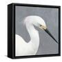 Seabird Thoughts 2-Norman Wyatt Jr.-Framed Stretched Canvas