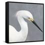 Seabird Thoughts 2-Norman Wyatt Jr.-Framed Stretched Canvas