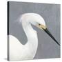 Seabird Thoughts 2-Norman Wyatt Jr.-Stretched Canvas