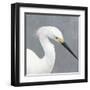 Seabird Thoughts 2-Norman Wyatt Jr.-Framed Art Print