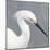 Seabird Thoughts 2-Norman Wyatt Jr.-Mounted Art Print