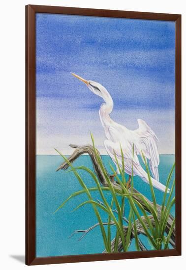 Seabirds at Noon I-null-Framed Art Print