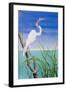 Seabirds at Noon II-null-Framed Art Print