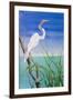 Seabirds at Noon II-null-Framed Art Print