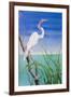 Seabirds at Noon II-null-Framed Art Print