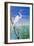 Seabirds at Noon II-null-Framed Premium Giclee Print