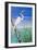 Seabirds at Noon II-null-Framed Premium Giclee Print