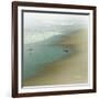 Seabirds-null-Framed Art Print