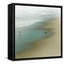 Seabirds-null-Framed Stretched Canvas