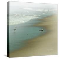 Seabirds-null-Stretched Canvas