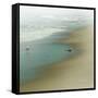 Seabirds-null-Framed Stretched Canvas
