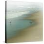 Seabirds-null-Stretched Canvas