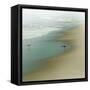 Seabirds-null-Framed Stretched Canvas