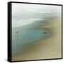 Seabirds-null-Framed Stretched Canvas