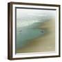 Seabirds-null-Framed Art Print