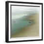 Seabirds-null-Framed Art Print