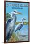 Seabrook Island, South Carolina - Blue Herons-Lantern Press-Framed Art Print