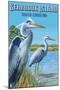 Seabrook Island, South Carolina - Blue Herons-Lantern Press-Mounted Art Print