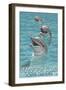Seabrook Island, South Carolina - Dolphins-Lantern Press-Framed Art Print
