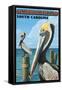 Seabrook Island, South Carolina - Pelicans-Lantern Press-Framed Stretched Canvas