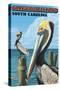 Seabrook Island, South Carolina - Pelicans-Lantern Press-Stretched Canvas