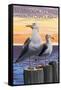 Seabrook Island, South Carolina - Seagulls-Lantern Press-Framed Stretched Canvas