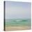 Seacoast 165-David E Rowell-Stretched Canvas